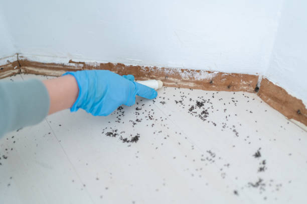 Best Termite Inspection and Treatment  in Washington, KS